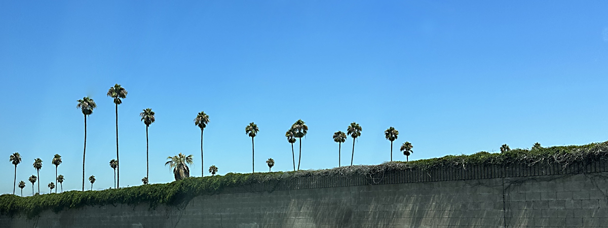 LA_9527 LA_9527