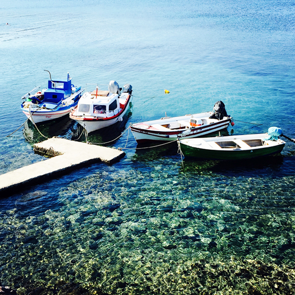 MYT-Fishing1
