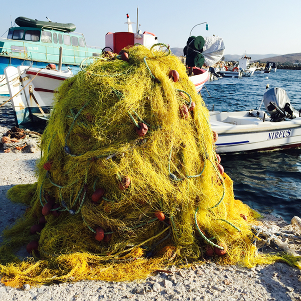 MYT-Fishing3